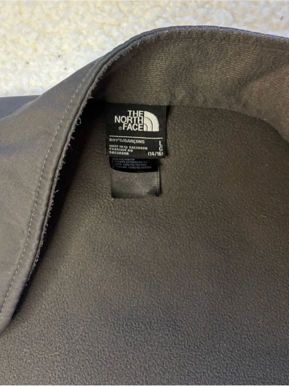 The North Face Kids Boy Gray Apex Bionic Soft Shell Jacket